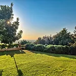 Golden View 1