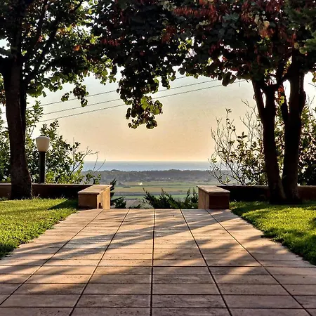 Golden View 1